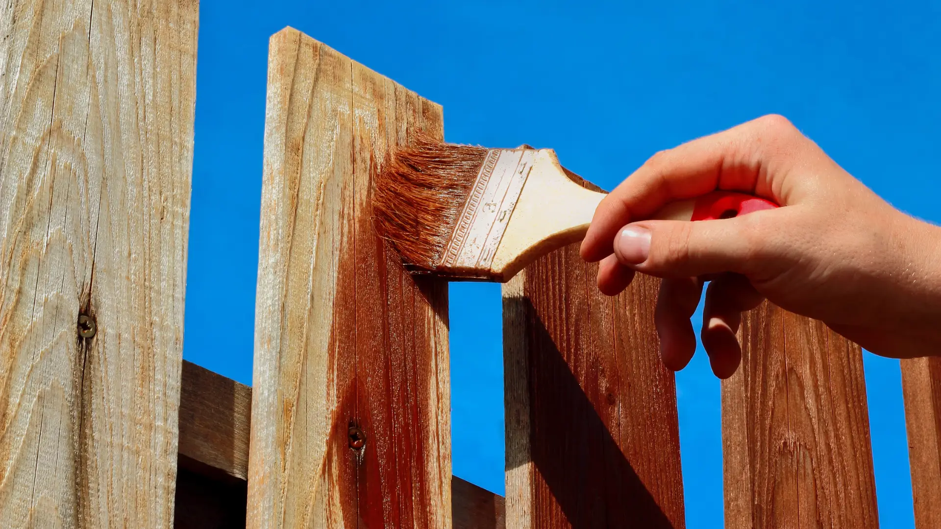 Fence painting experts