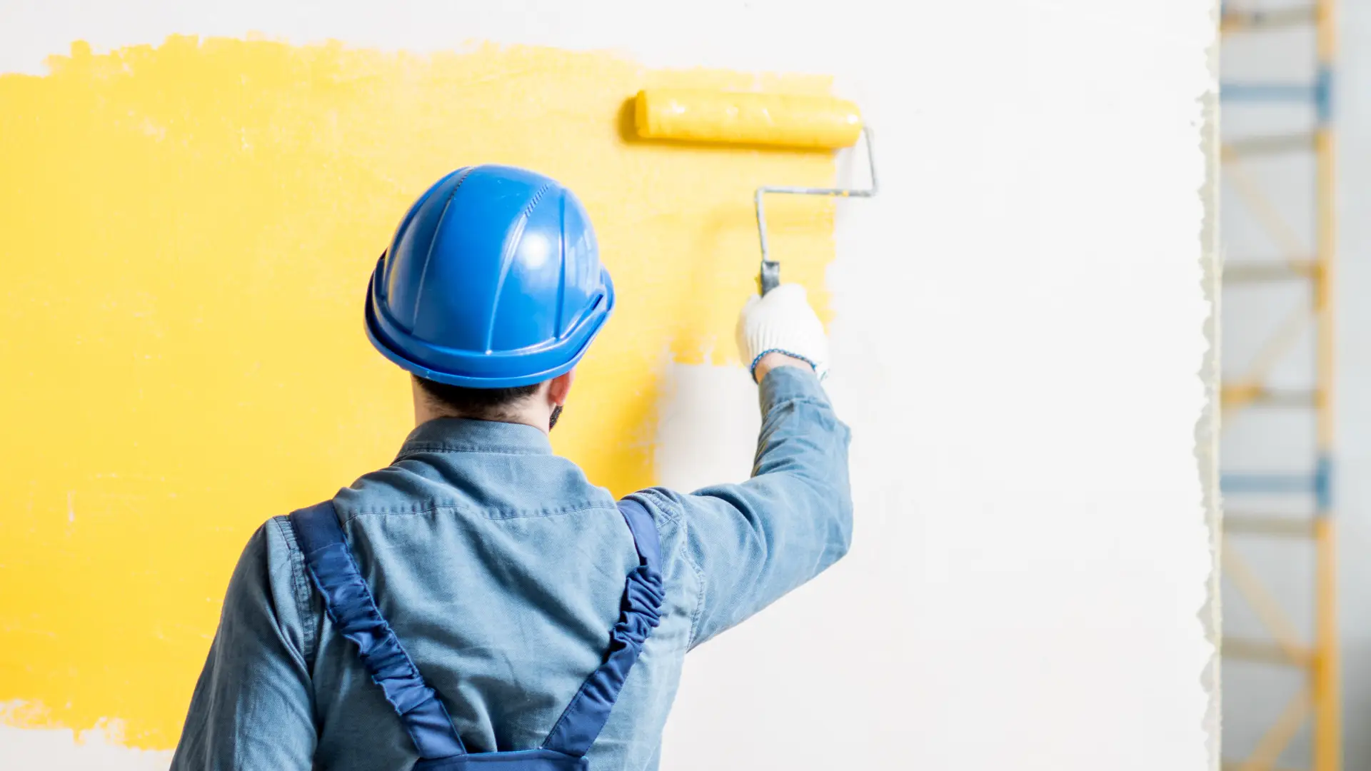 Painting experts in Belvidere