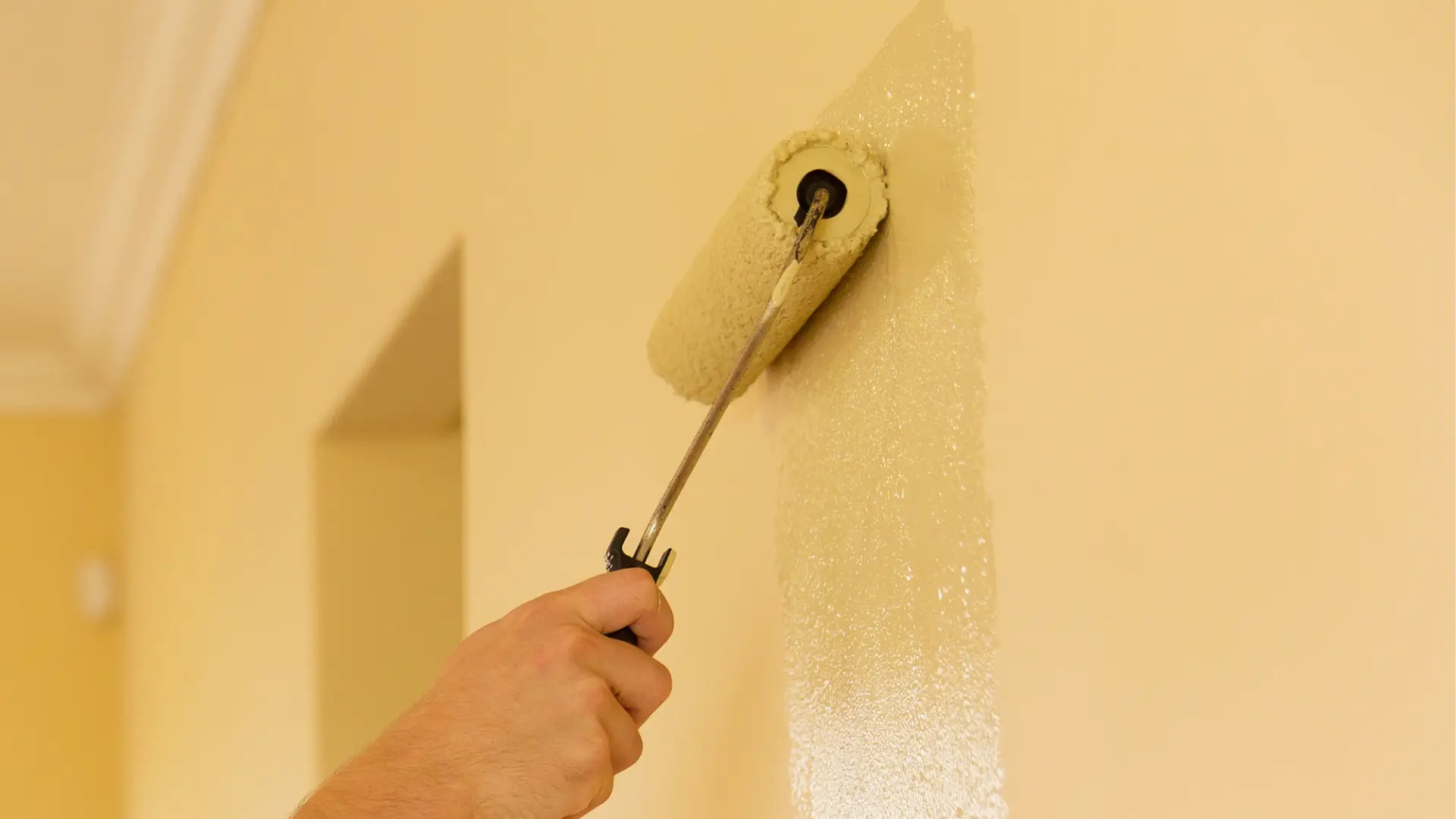 Painting experts in Machesney Park